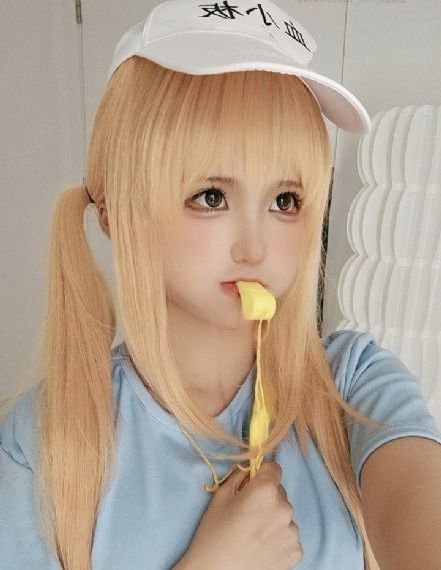 九重紫一共多少集